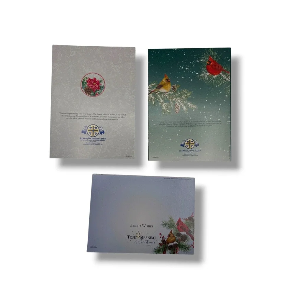 Christmas Cards Lot Cardinal Bird Holiday Greeting Cards Set Vintage Winter